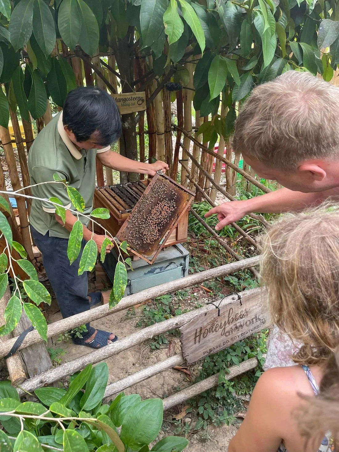Phu Quoc Bee Farm - ảnh 2
